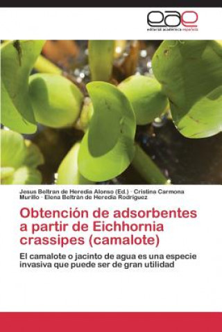 Obtencion de adsorbentes a partir de Eichhornia crassipes (camalote)