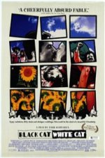 Black Cat White Cat ART174DVD