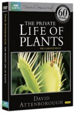 BBCDVD3717/PRIVATE LIFE OF PLANTS   
