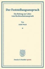 Der Feststellungsanspruch.