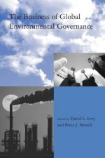 Business of Global Environmental Governance