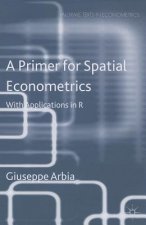Primer for Spatial Econometrics