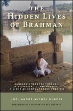 Hidden Lives of Brahman