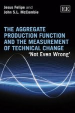 Aggregate Production Function and the Measurement of Technical Change