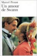 Amour De Swann