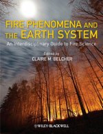 Fire Phenomena and the Earth System - An Interdisciplinary Guide to Fire Science