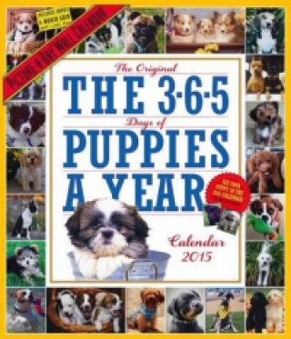 365 Puppies-A-Year 2015 Wall Calendar