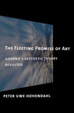 Fleeting Promise of Art