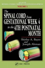 Spinal Cord from Gestational Week 4 to the 4th Postnatal Month