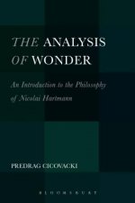 Analysis of Wonder