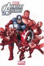 Marvel Universe Avengers Assemble Volume 2