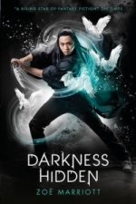 Name of the Blade, Book Two: Darkness Hidden