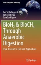 BioH2 & BioCH4 Through Anaerobic Digestion