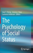 Psychology of Social Status