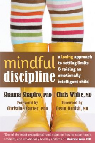 Mindful Discipline (Shauna Shapiro)()