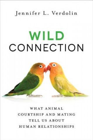 Wild Connection