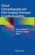 Clinical Echocardiography and Other Imaging Techniques in Cardiomyopathies