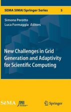 New Challenges in Grid Generation and Adaptivity for Scientific Computing