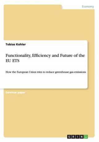 Functionality, Efficiency and Future of the EU ETS