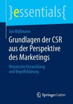 Grundlagen Der Csr Aus Der Perspektive Des Marketings