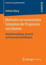 Methoden Zur Numerischen Simulation Der Progression Von Gliomen