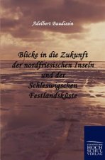 Blicke in die Zukunft der nordfriesischen Inseln und der Schleswigschen Festlandskuste