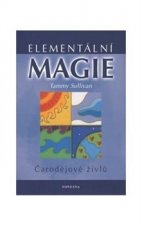 Elementární magie