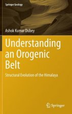 Understanding an Orogenic Belt