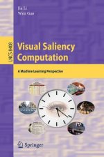 Visual Saliency Computation