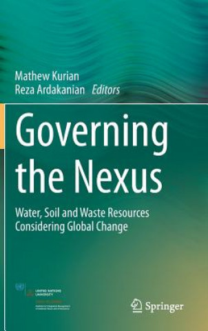 Governing the Nexus