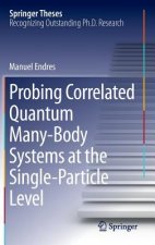 Probing Correlated Quantum Many-Body Systems at the Single-Particle Level