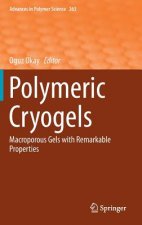 Polymeric Cryogels