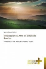 Meditaciones Ante el Sillón de Ruedas