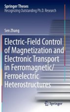 Electric-Field Control of Magnetization and Electronic Transport in Ferromagnetic/Ferroelectric Heterostructures