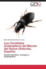 Carabidae (Coleoptera) del Macizo del Sueve (Asturias, Espana)
