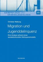 Migration und Jugenddelinquenz