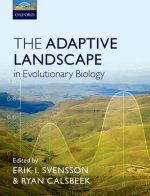 Adaptive Landscape in Evolutionary Biology