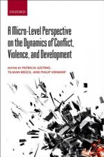Micro-Level Perspective on the Dynamics of Conflict, Violence, and Development