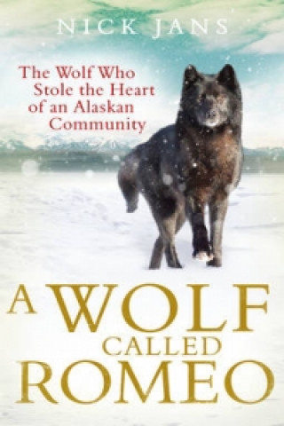 Wolf Called Romeo