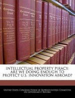 Intellectual Property Piracy: Are We Doing Enough To Protect U.S. Innovation Abroad?