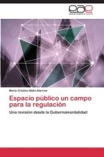 Espacio Publico Un Campo Para La Regulacion