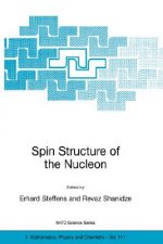 Spin Structure of the Nucleon