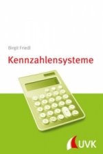 Kennzahlensysteme