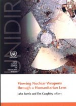 Viewing nuclear weapons through a humanitarian lens