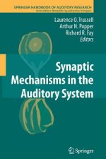 Synaptic Mechanisms in the Auditory System