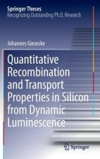 Quantitative Recombination and Transport Properties in Silicon from Dynamic Luminescence