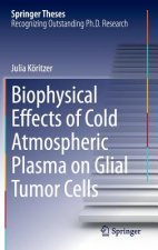 Biophysical Effects of Cold Atmospheric Plasma on Glial Tumor Cells