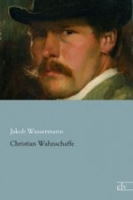 Christian Wahnschaffe