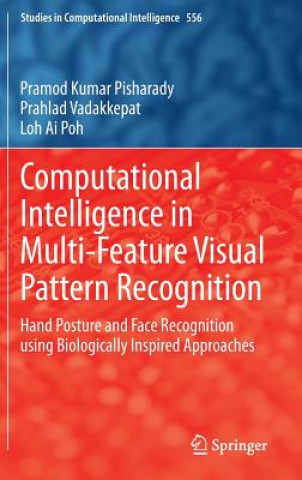 Computational Intelligence in Multi-Feature Visual Pattern Recognition