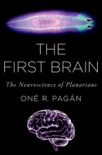 First Brain